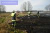 Bild-Nr. 50 Mittelbrand